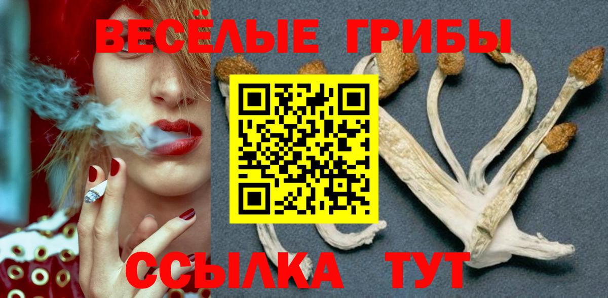 Галлюциногенные грибы прущие грибы  Вход с VPN  Псилоцибиновые грибы GOLDEN TEACHER  купить наркотик  Самара 